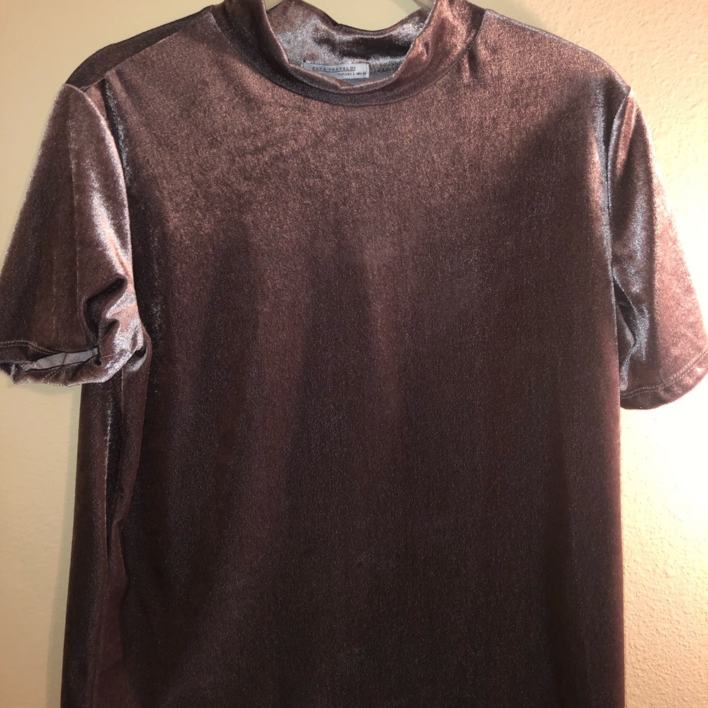Zara velvet top